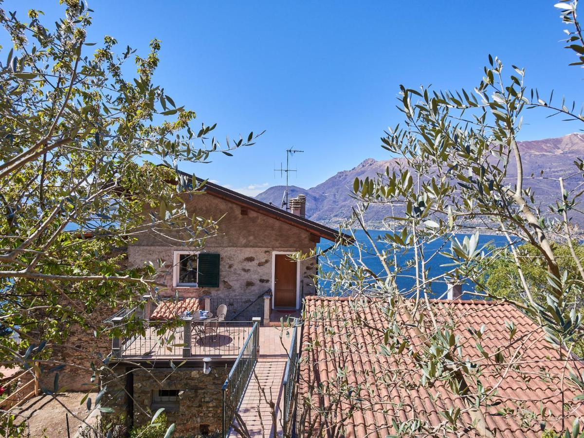 Apartment Oro Del Lario-2 By Interhome ベッラーノ エクステリア 写真